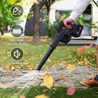Cordless Blower